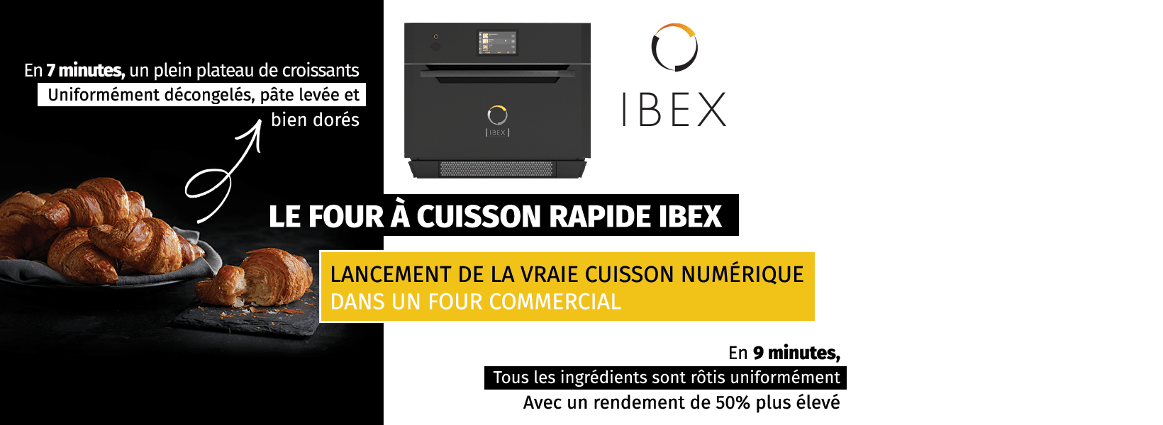 IBEX Banner Image